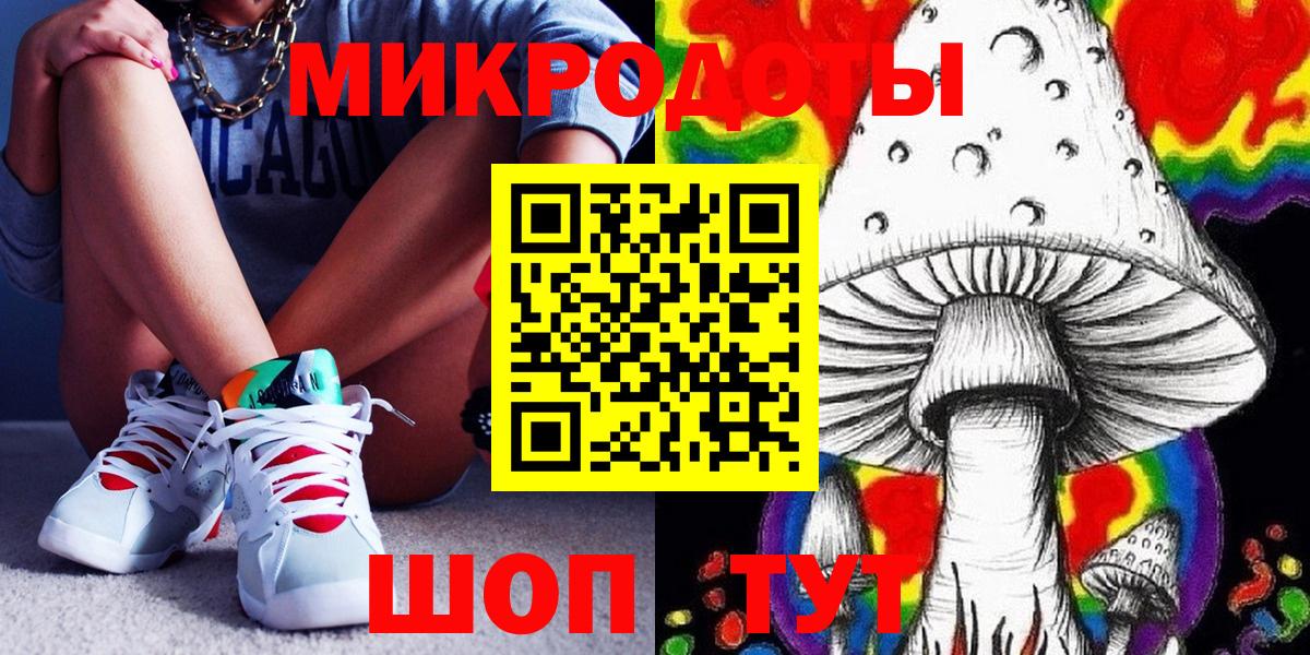 Псилоцибиновые грибы Cubensis Аша