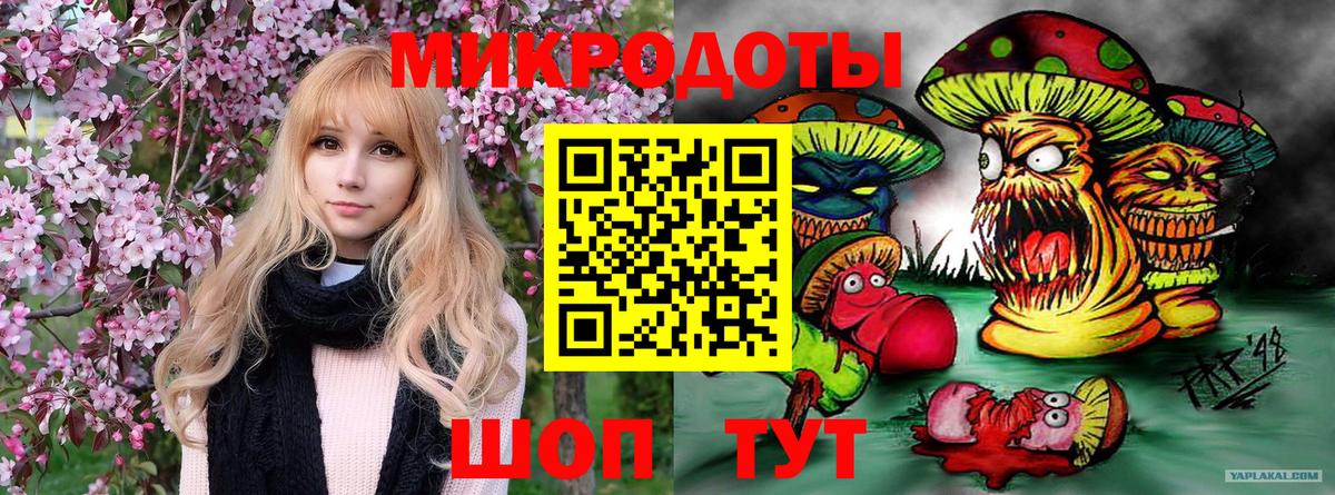 Псилоцибиновые грибы Magic Shrooms  наркошоп  Аша  Вход с VPN 